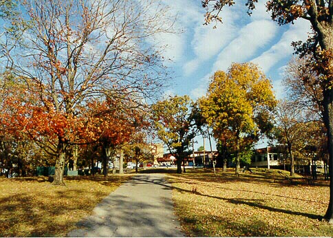 The Club Photo Album